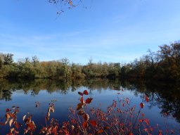 November 2025 - Wintersdorf